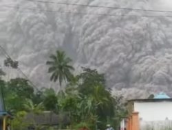Breaking News: Gunung Semeru Erupsi, Hujan Abu Guyur Lumajang